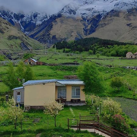 Mountain Kazbegi Apartment Kültér fotó